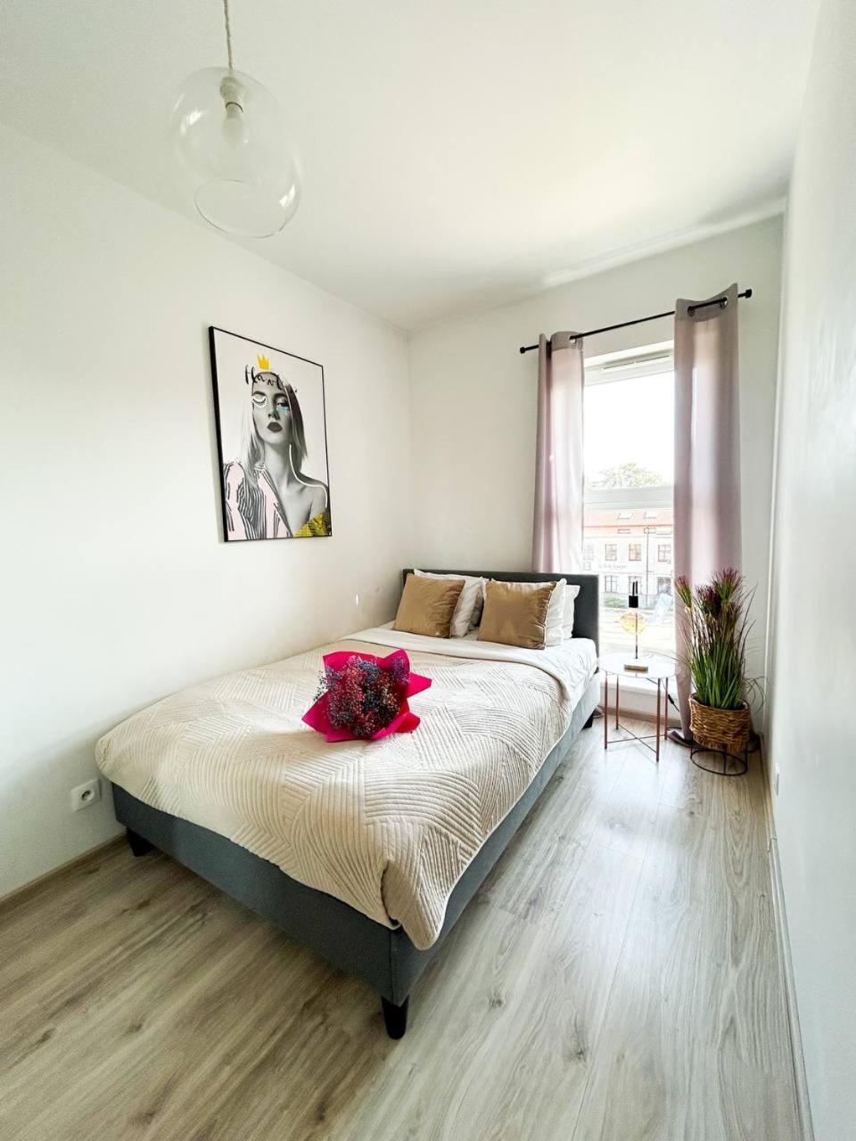 Lumina Comfy Apartment Lodz المظهر الخارجي الصورة